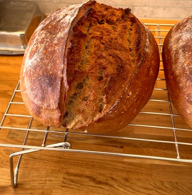 Seeded sourdough loaves